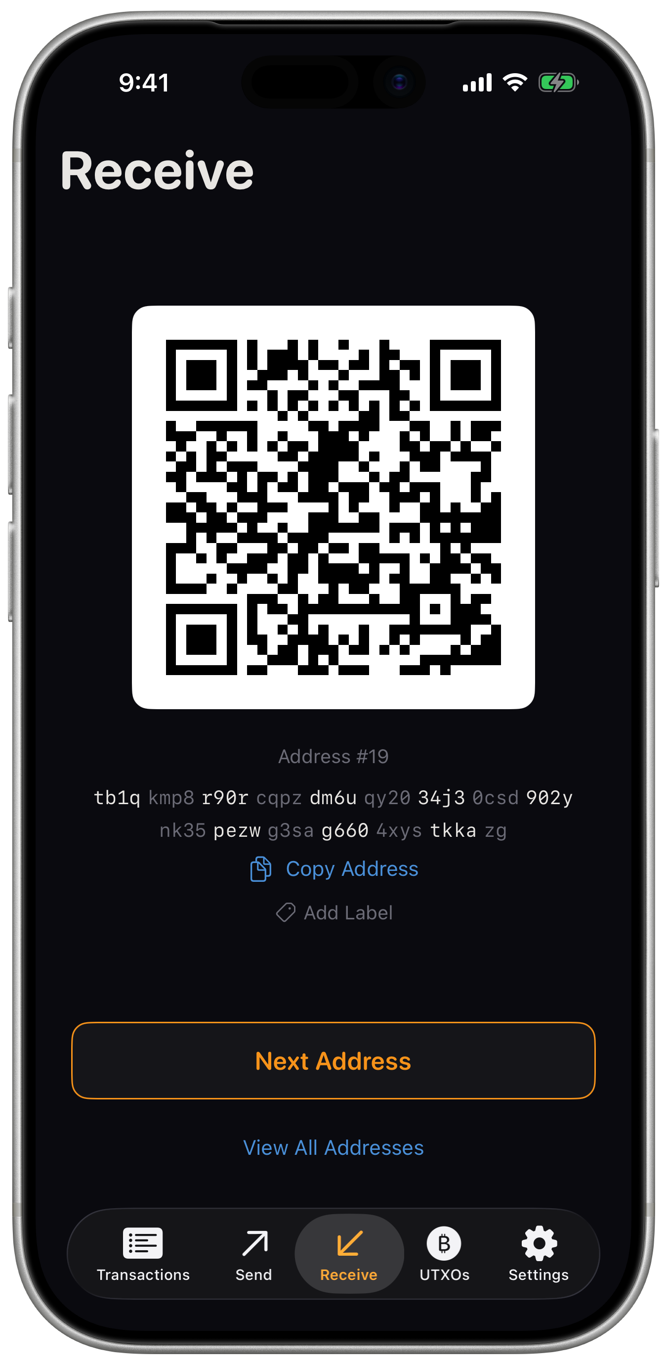 Receive bitcoin screen